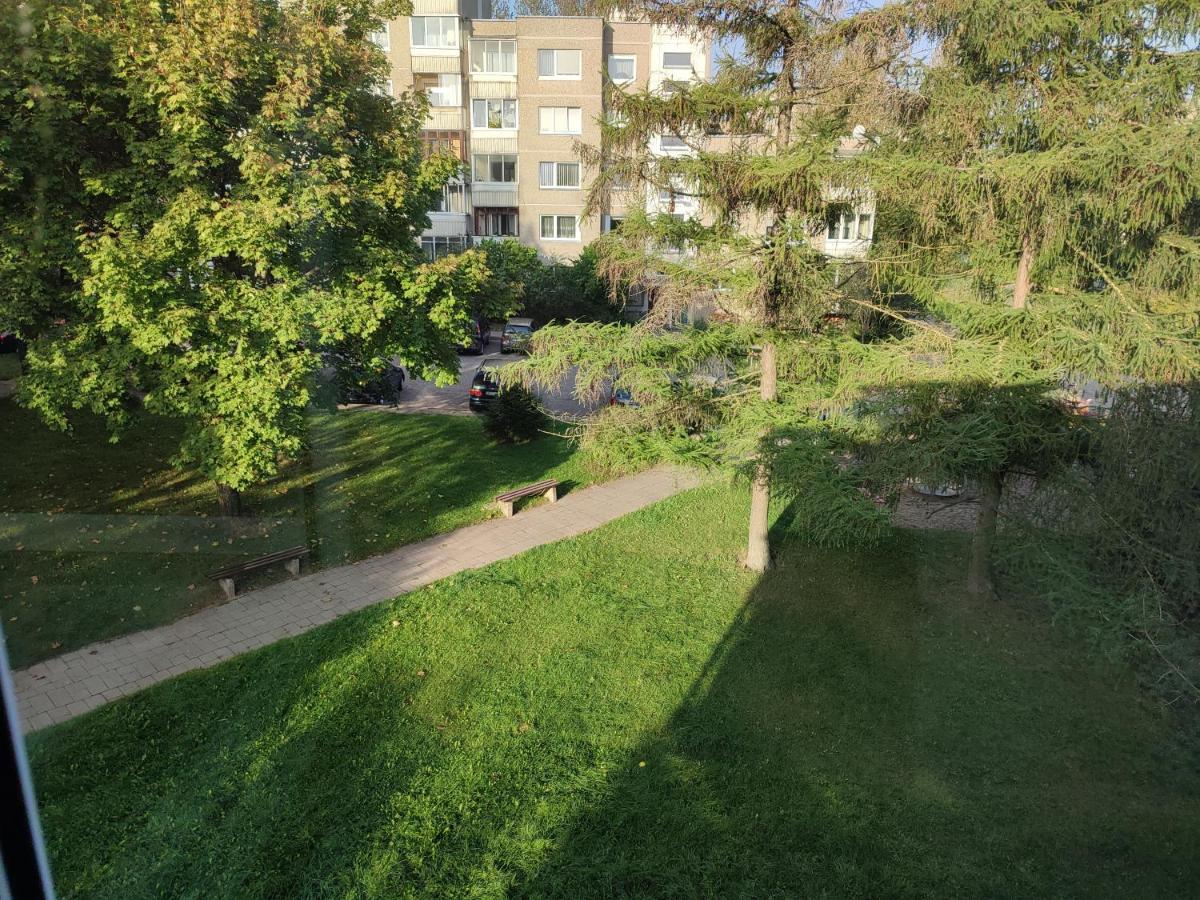 Shortstoppasilaiciai Vilnius Ngoại thất bức ảnh