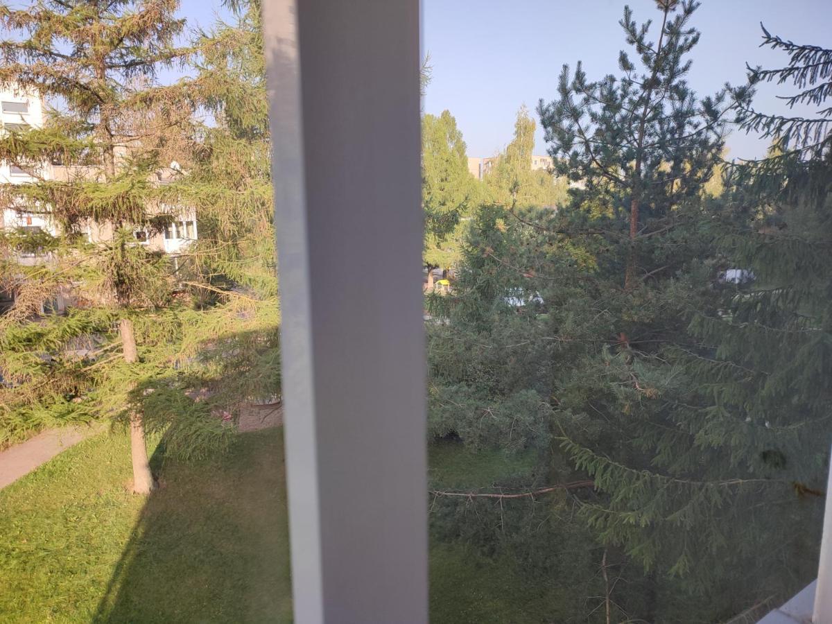 Shortstoppasilaiciai Vilnius Ngoại thất bức ảnh